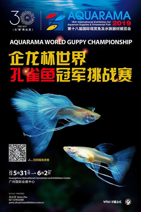 Aquarama 2019 - Guppy Competition